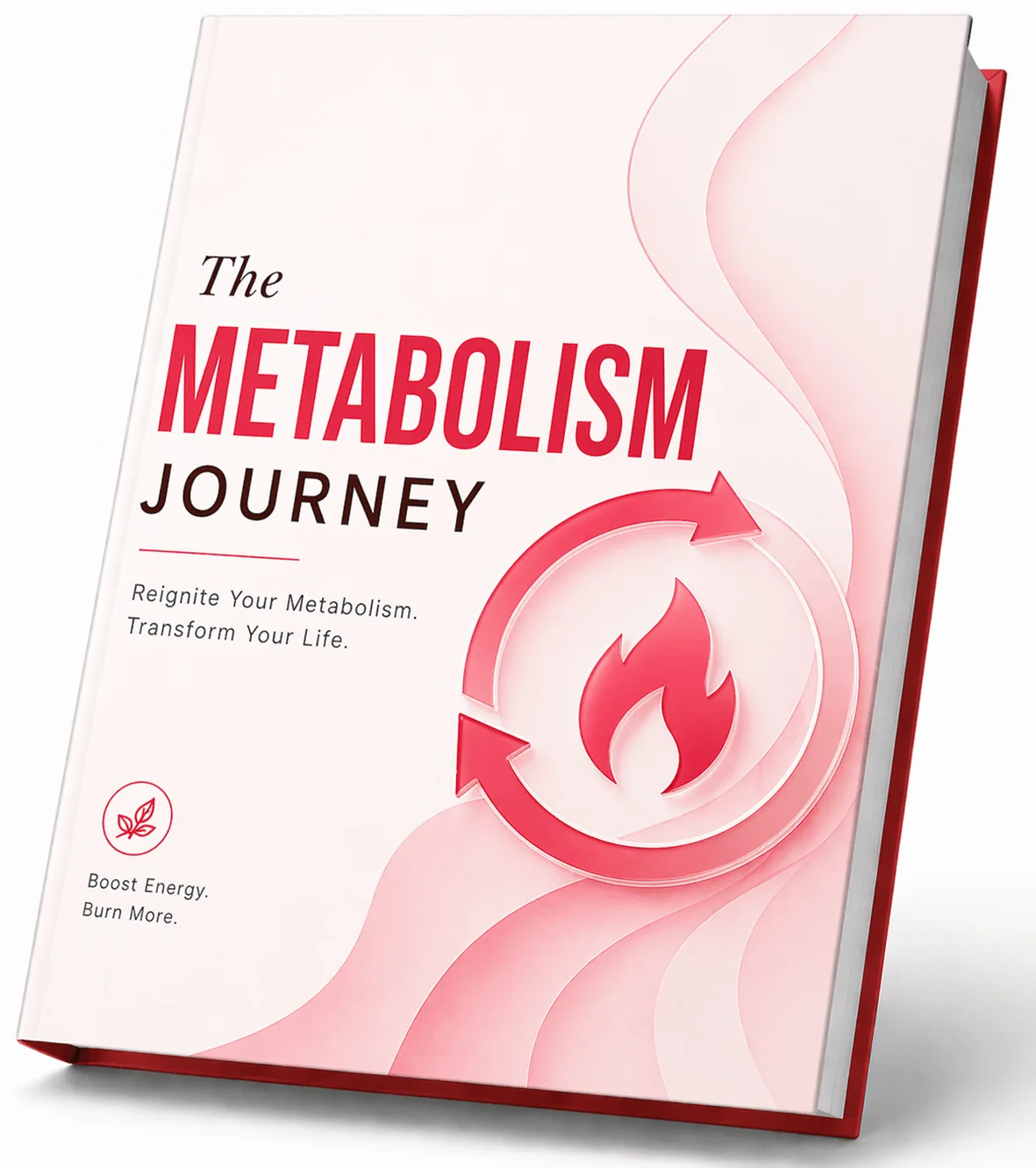 Jellythin bonus The Metabolism Journey ebook